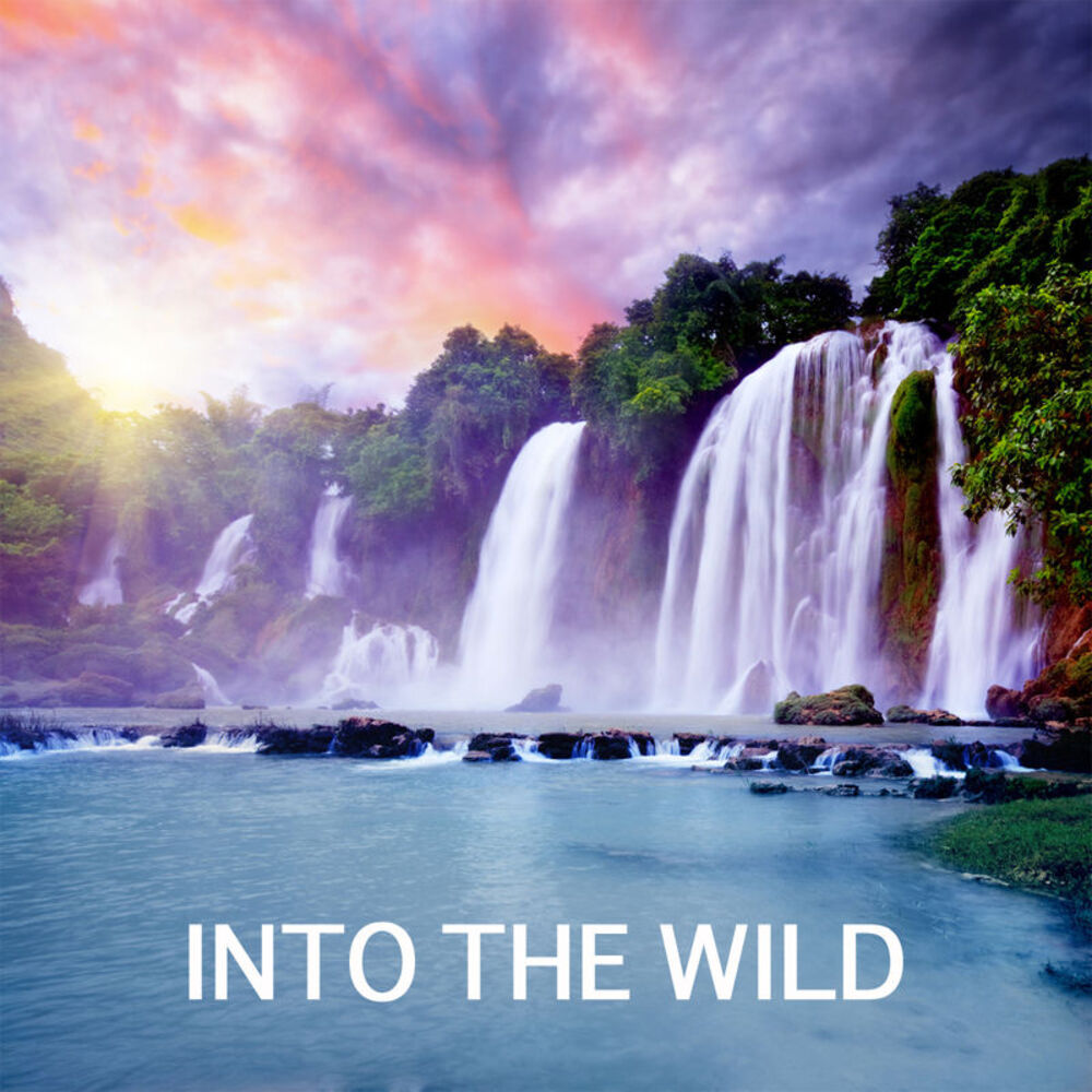 Picture of Nature Sounds Radio