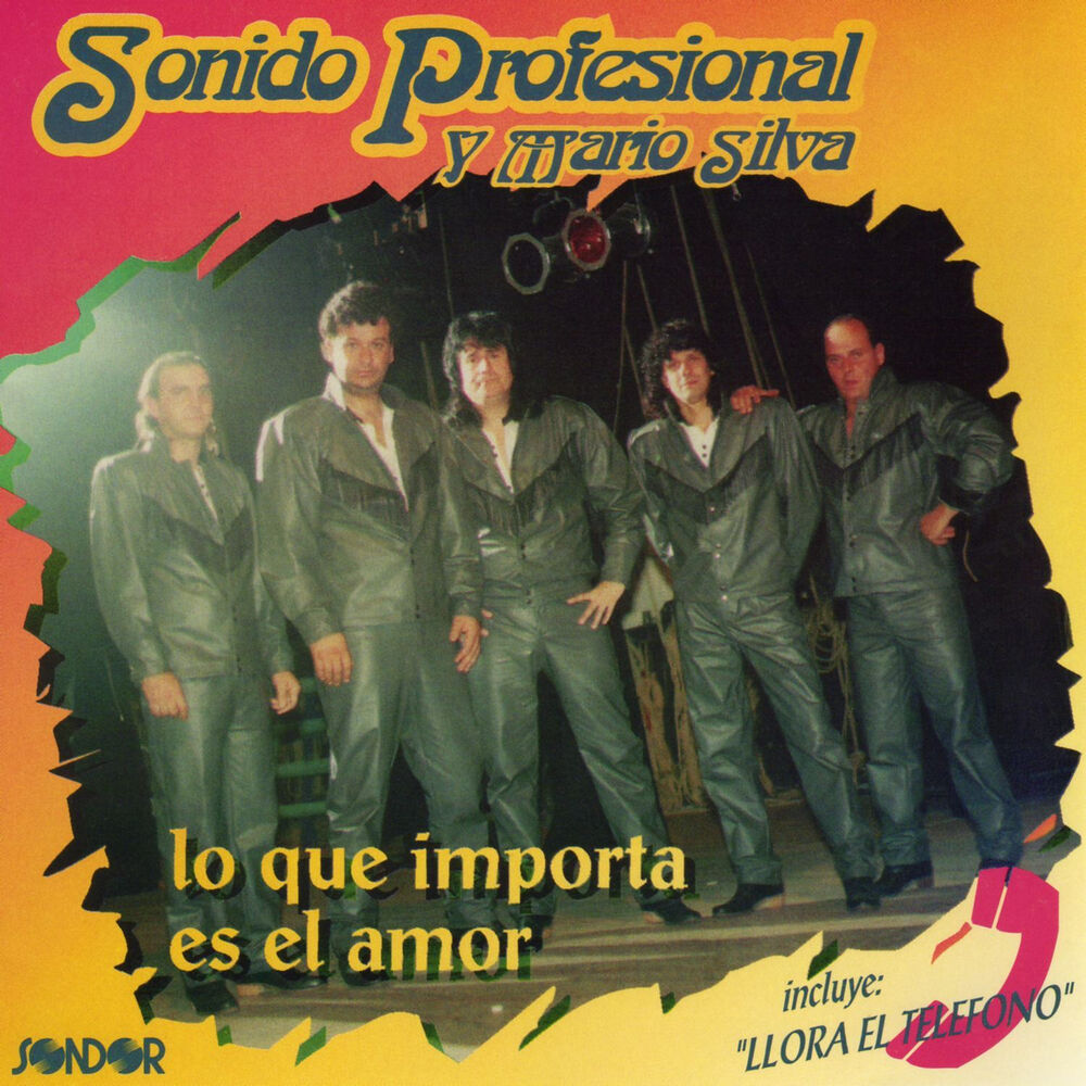 Picture of Sonido Profesional