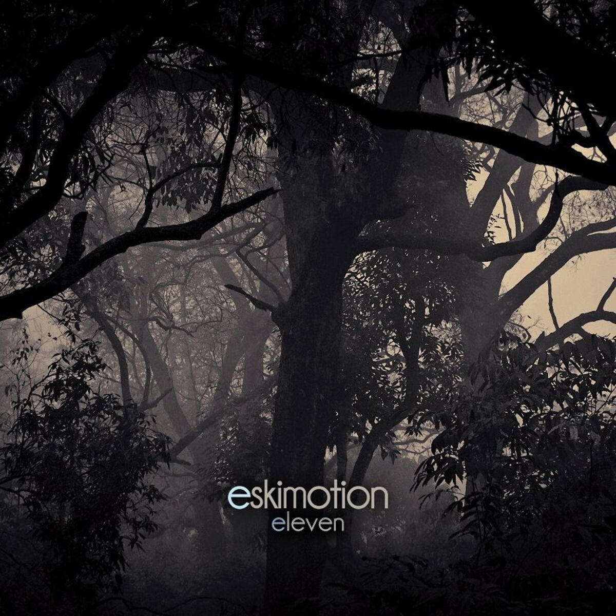 Eskimotion