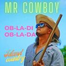 Mr Cowboy