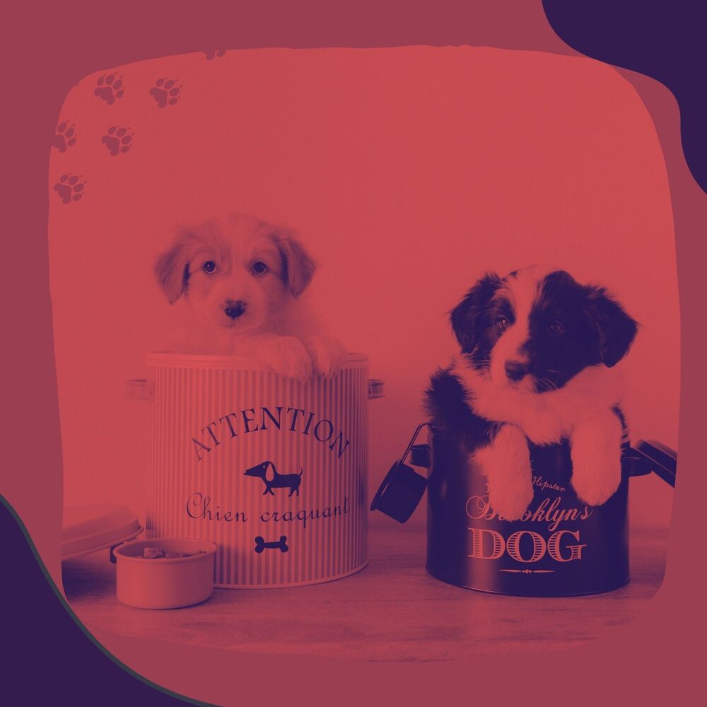 Picture of Famous Doggy Music