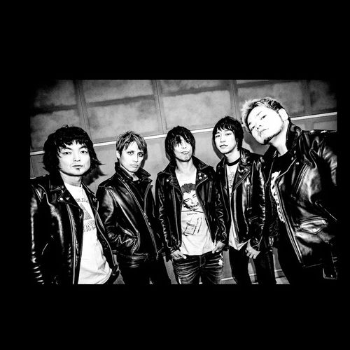 STANCE PUNKS: albums, songs, concerts | Deezer