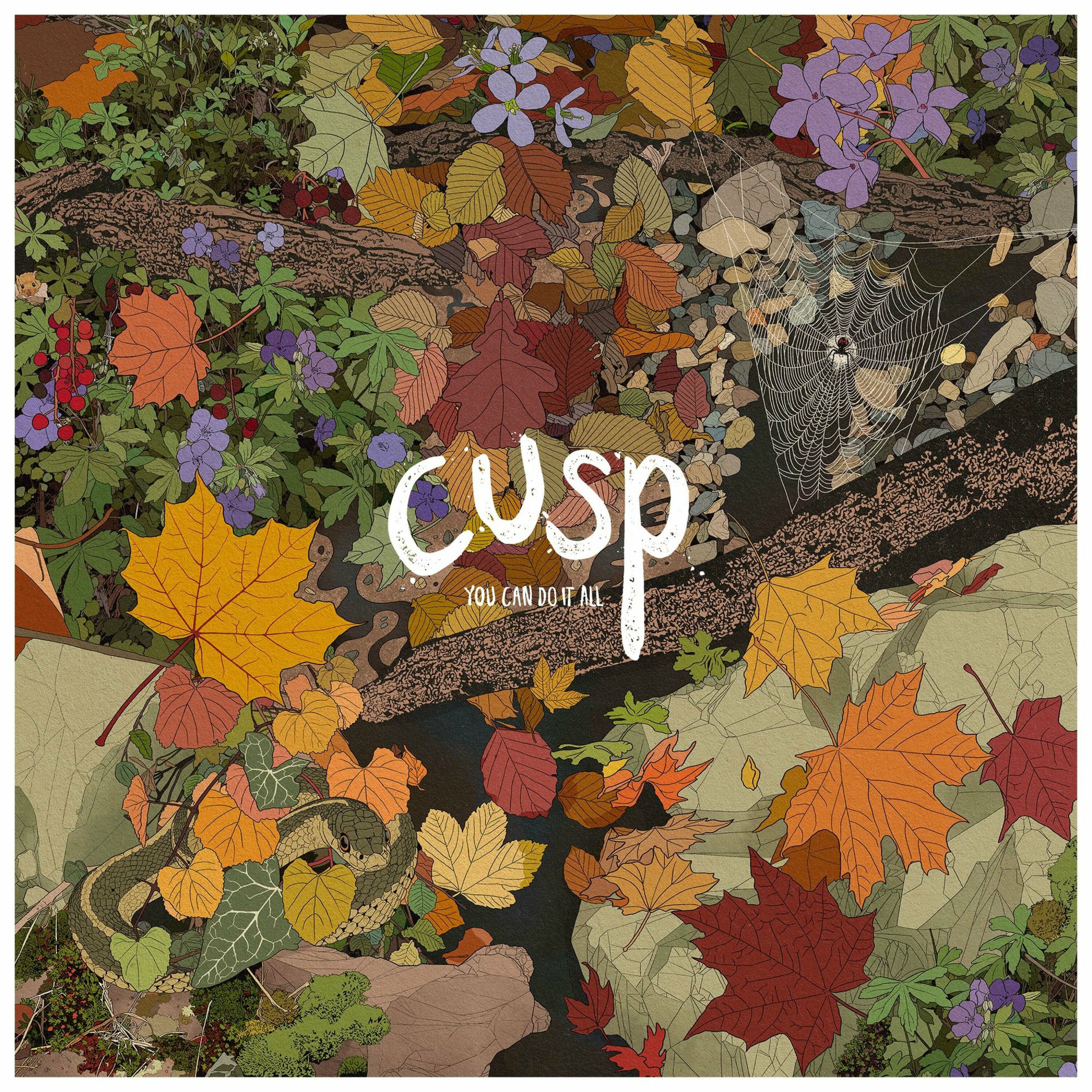 Artist picture of Cusp