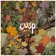 Cusp