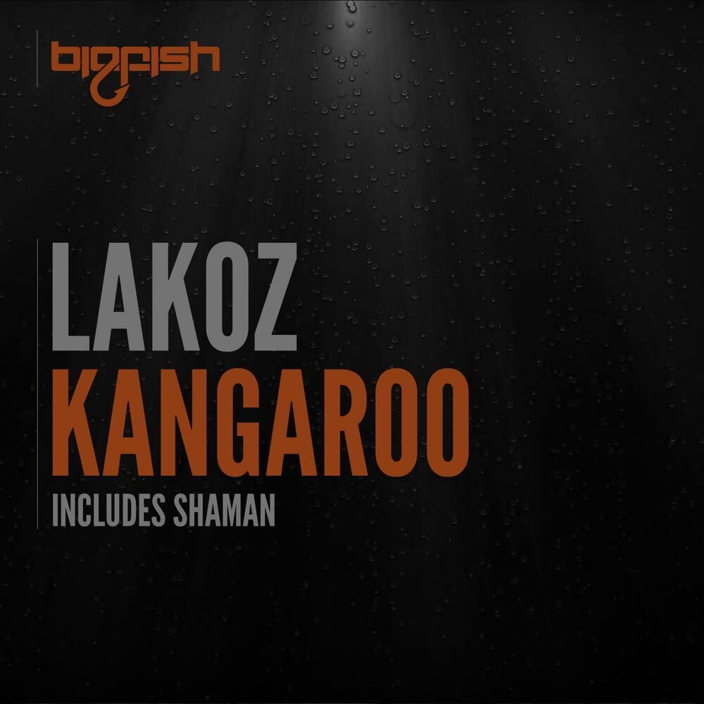 Picture of Lakoz