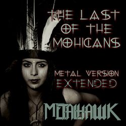 Picture of METALHAWK