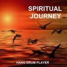 Hang Drum Player
