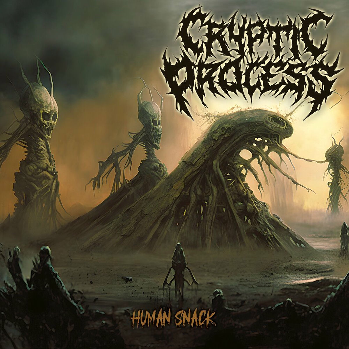 Artist picture of Cryptic Process
