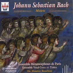 Picture of Ensemble Métamorphoses de Paris