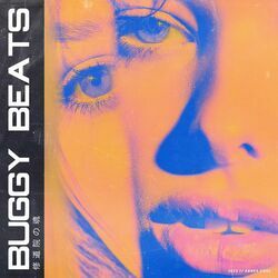 Picture of Buggy Beats