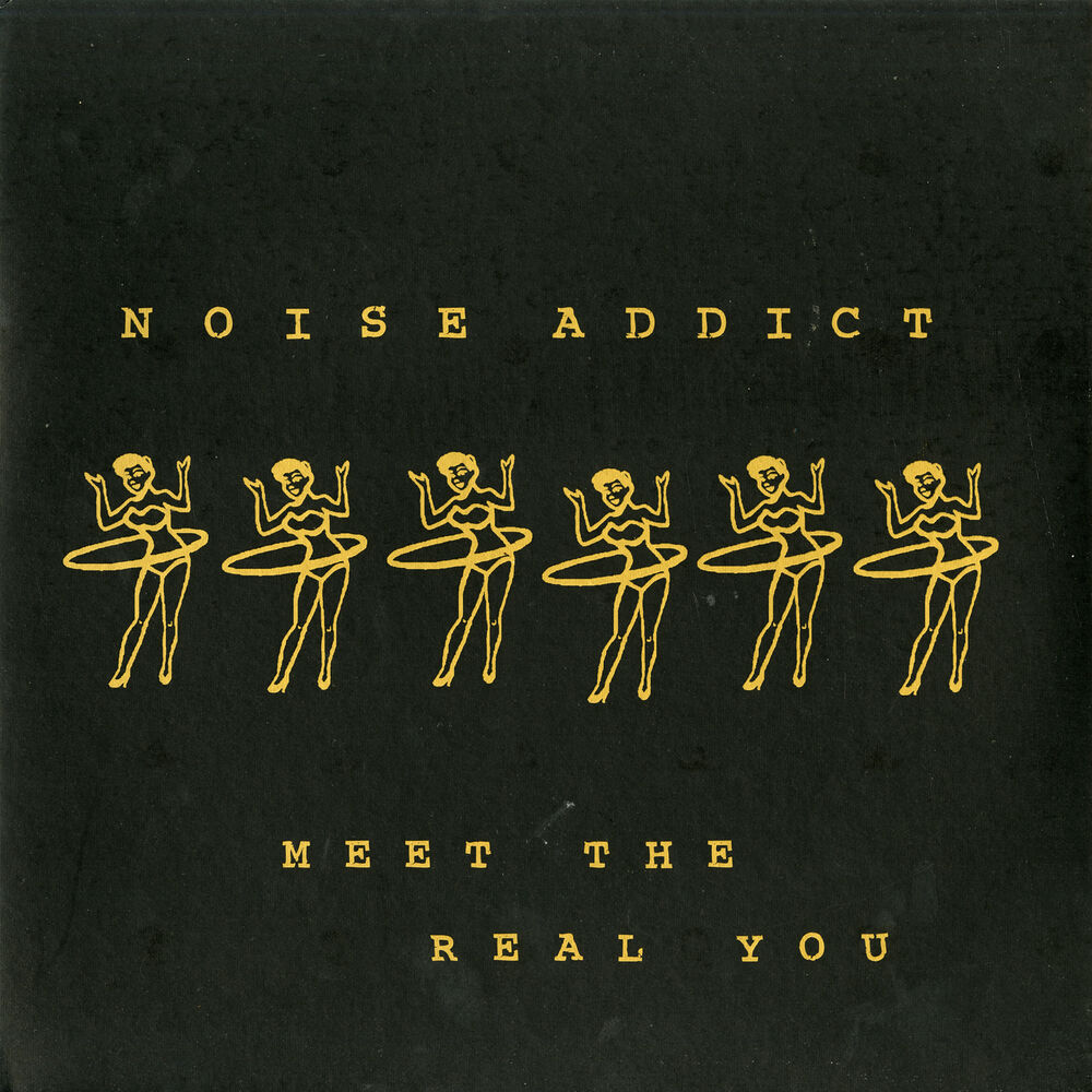 Picture of Noise Addict