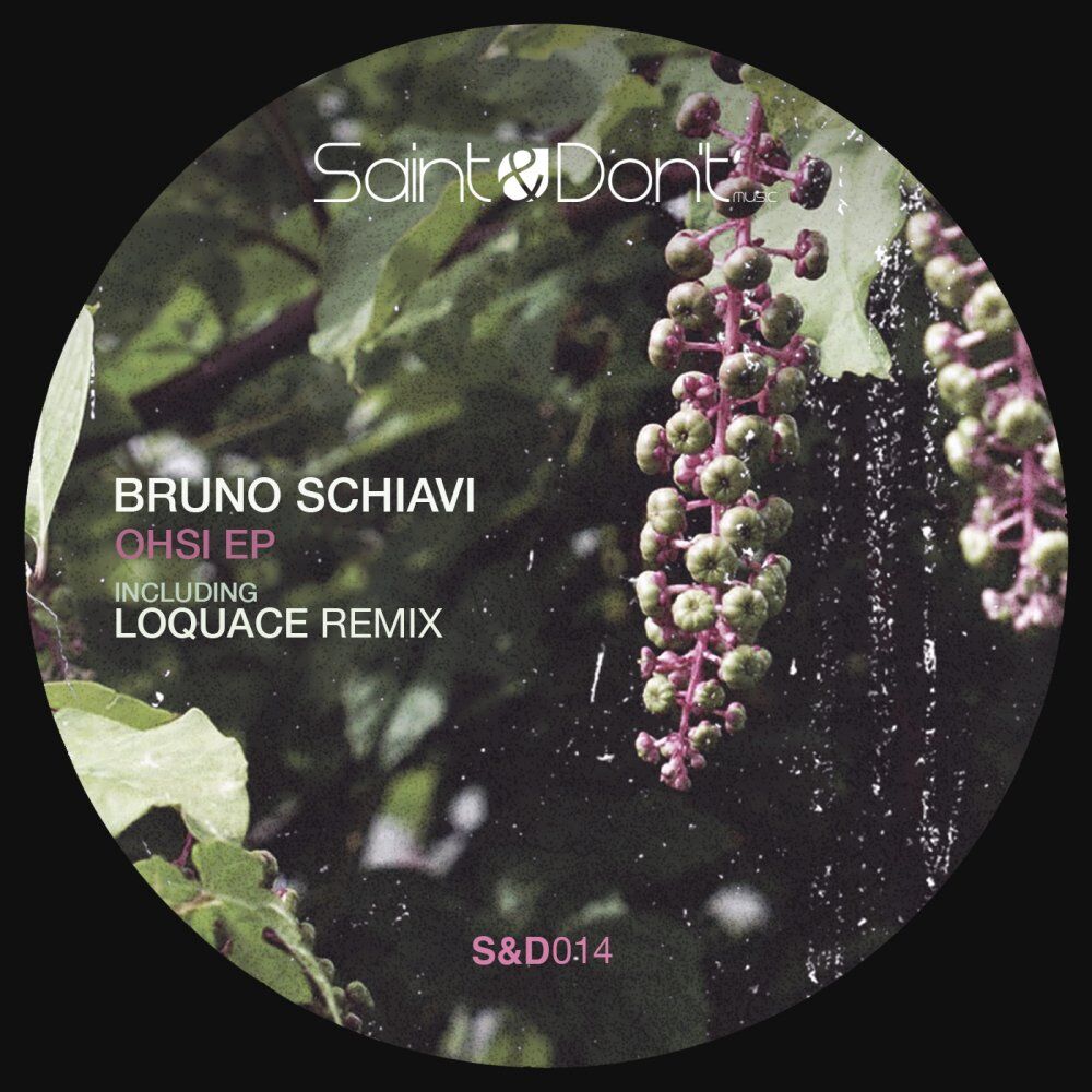 Picture of Bruno Schiavi