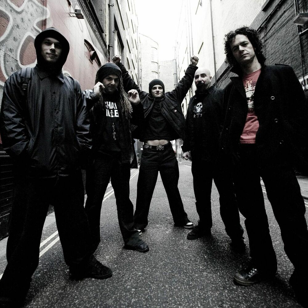 Picture of Breed 77