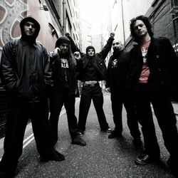 Picture of Breed 77