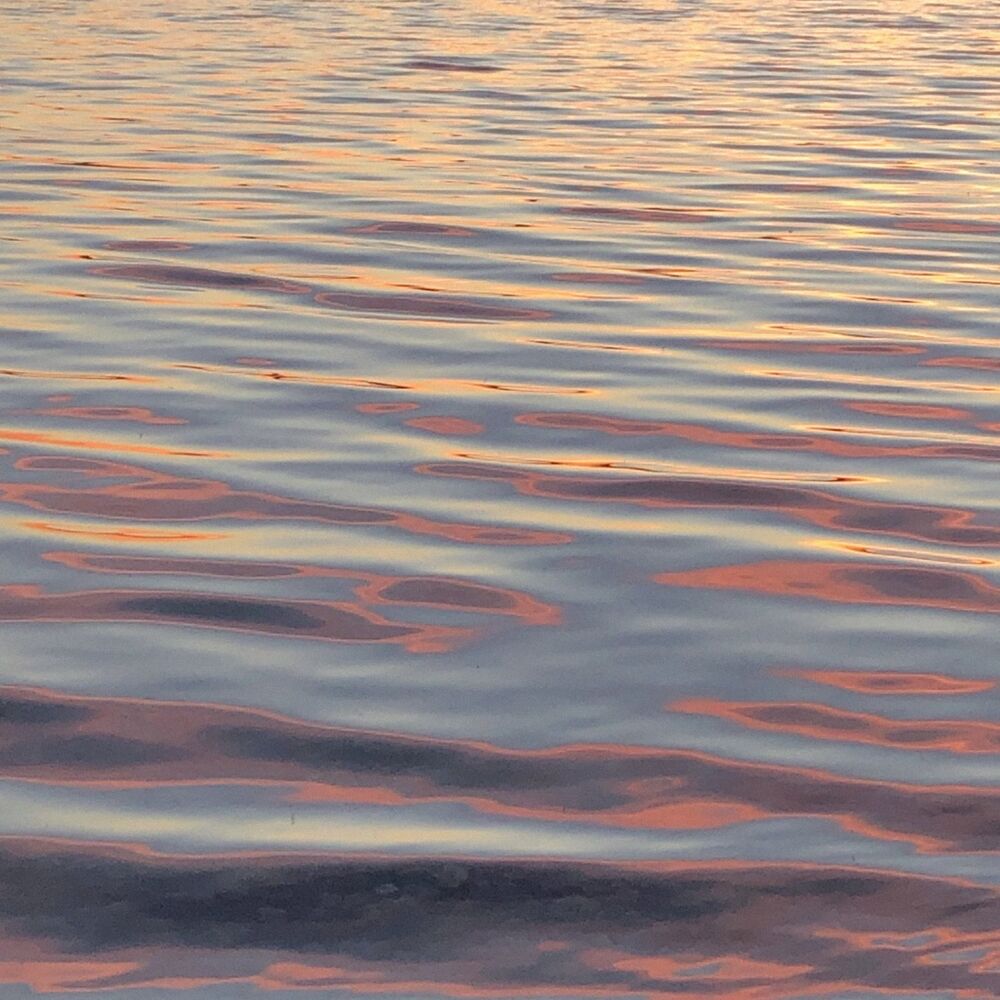 Picture of Inverted Mind