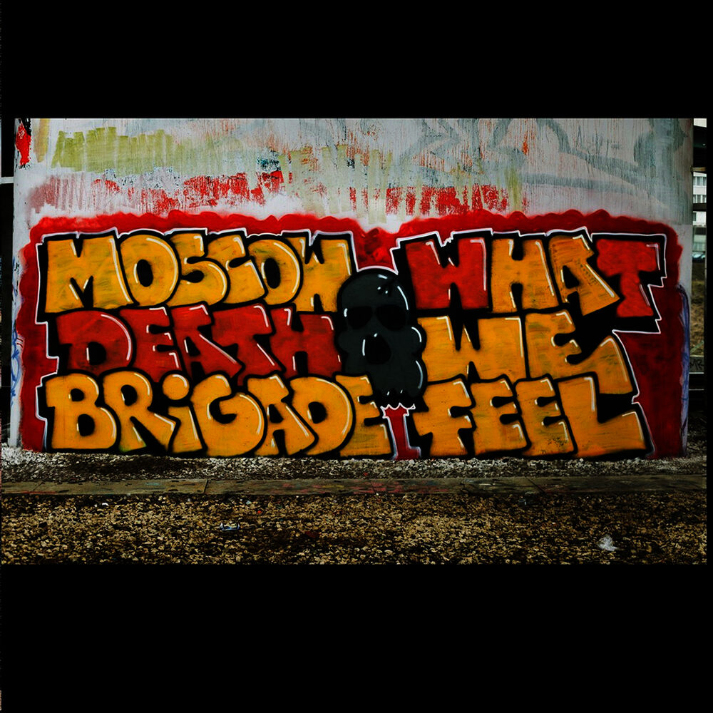 Picture of What We Feel