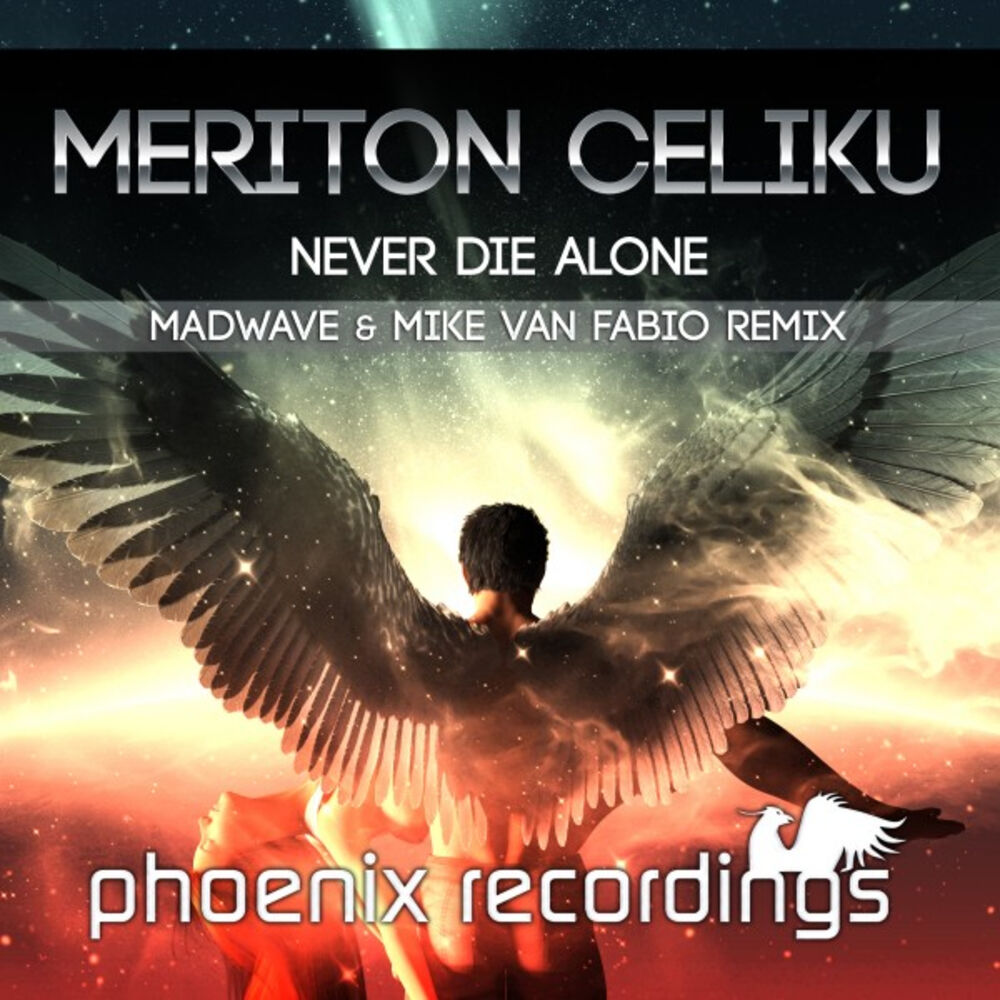 Picture of Meriton Celiku