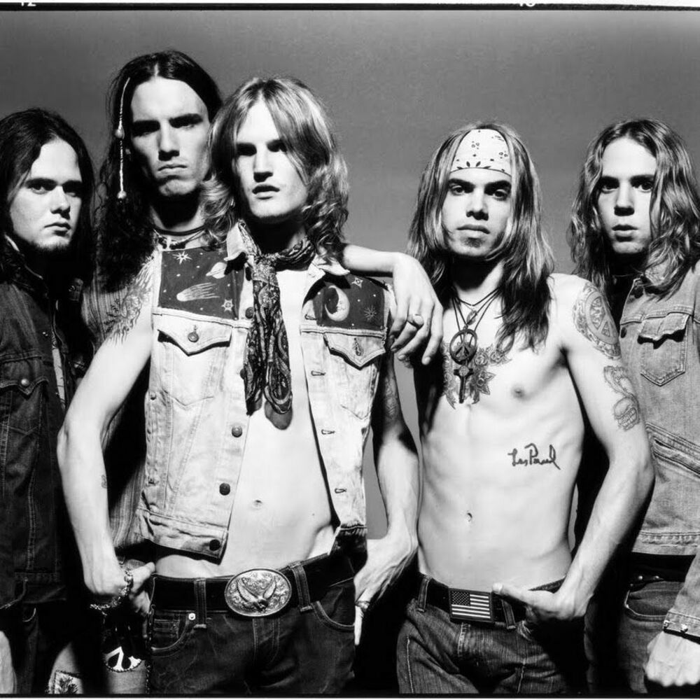 Picture of Silvertide