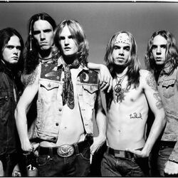 Picture of Silvertide