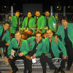 Picture of Los Flamers