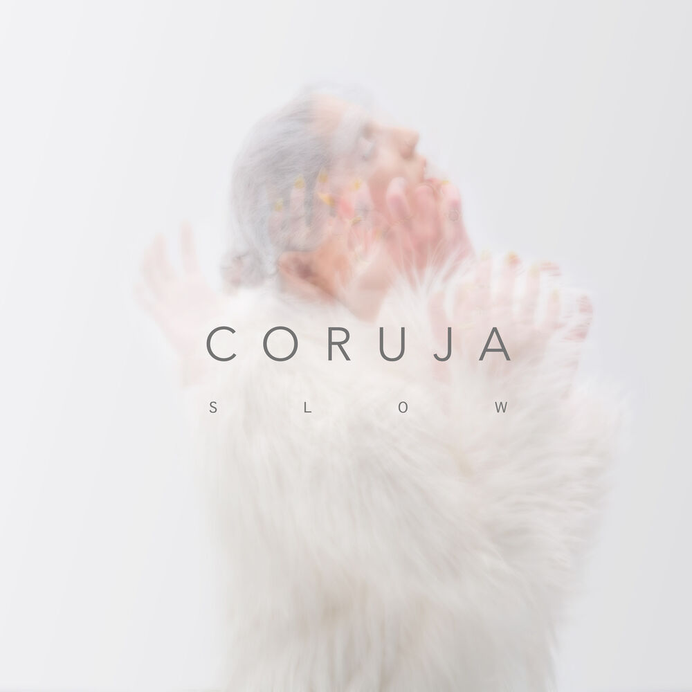 Picture of Coruja