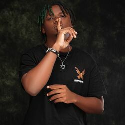 Picture of Bigyne Wiz