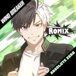 Picture of Romix