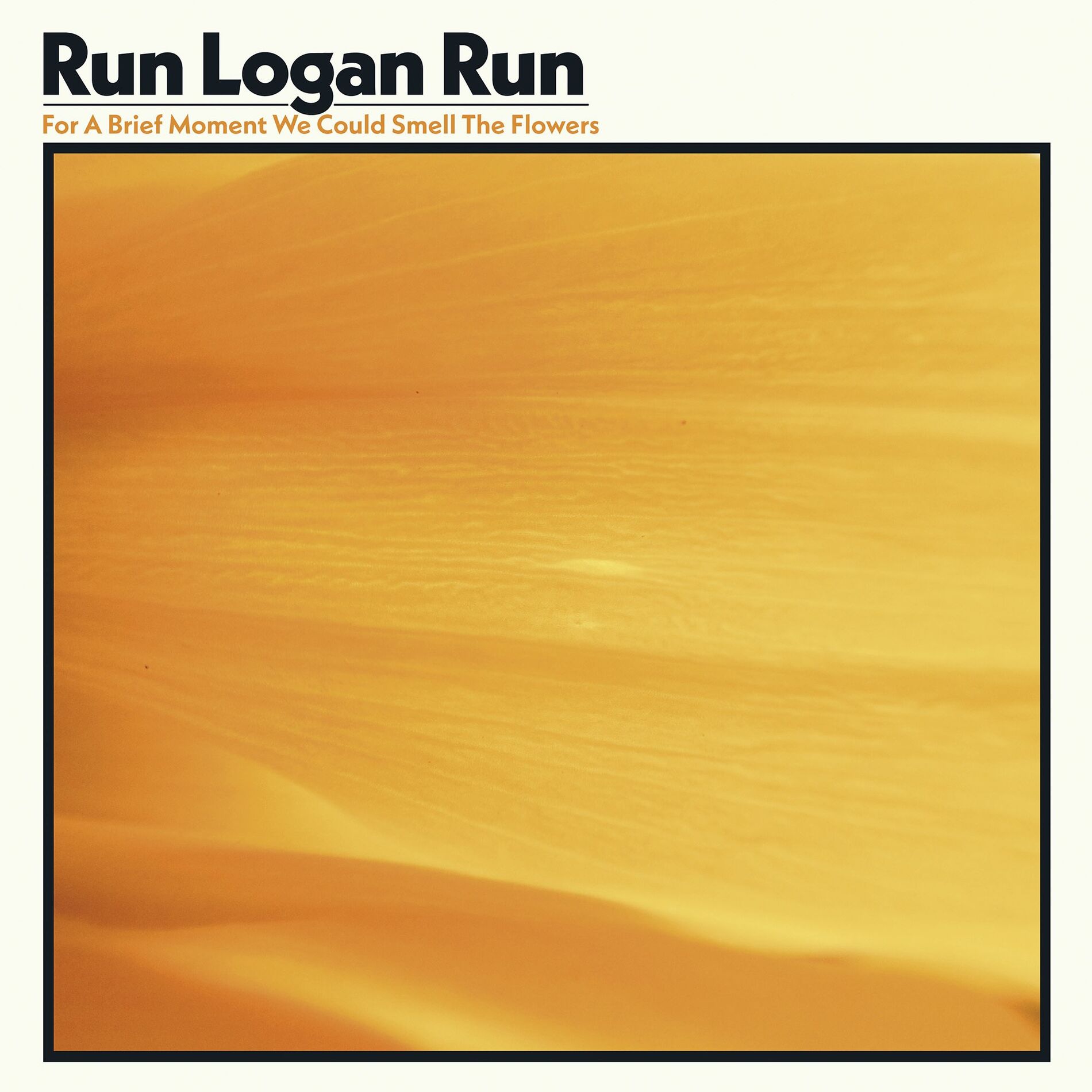 Run Logan Run