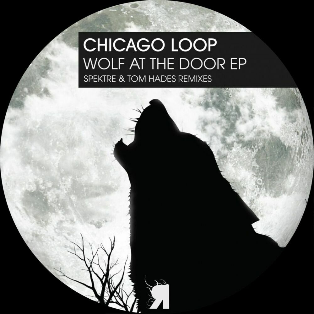Picture of Chicago Loop
