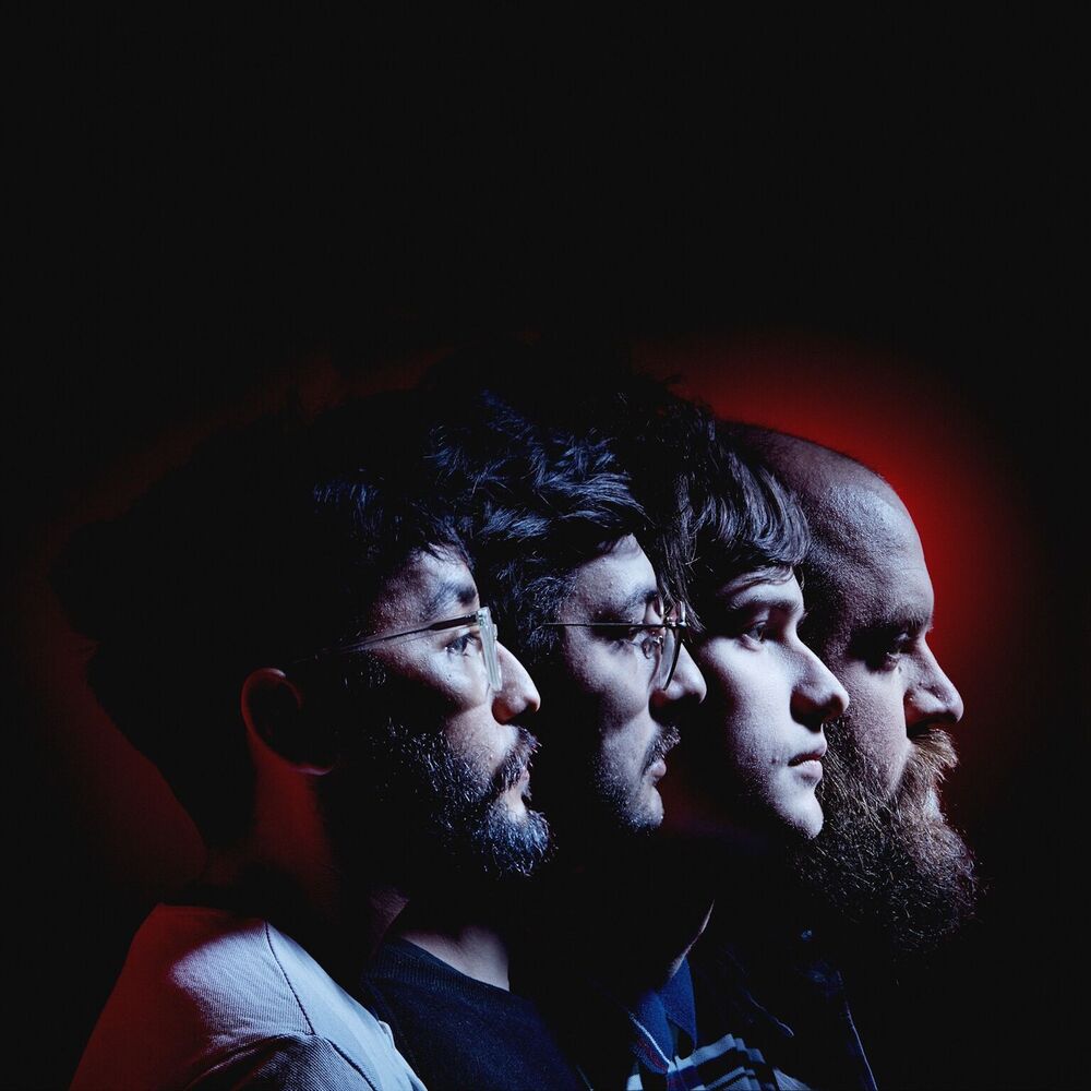 Picture of Foxing