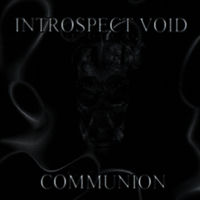 Introspect Void