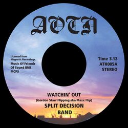Picture of Split Decision Band