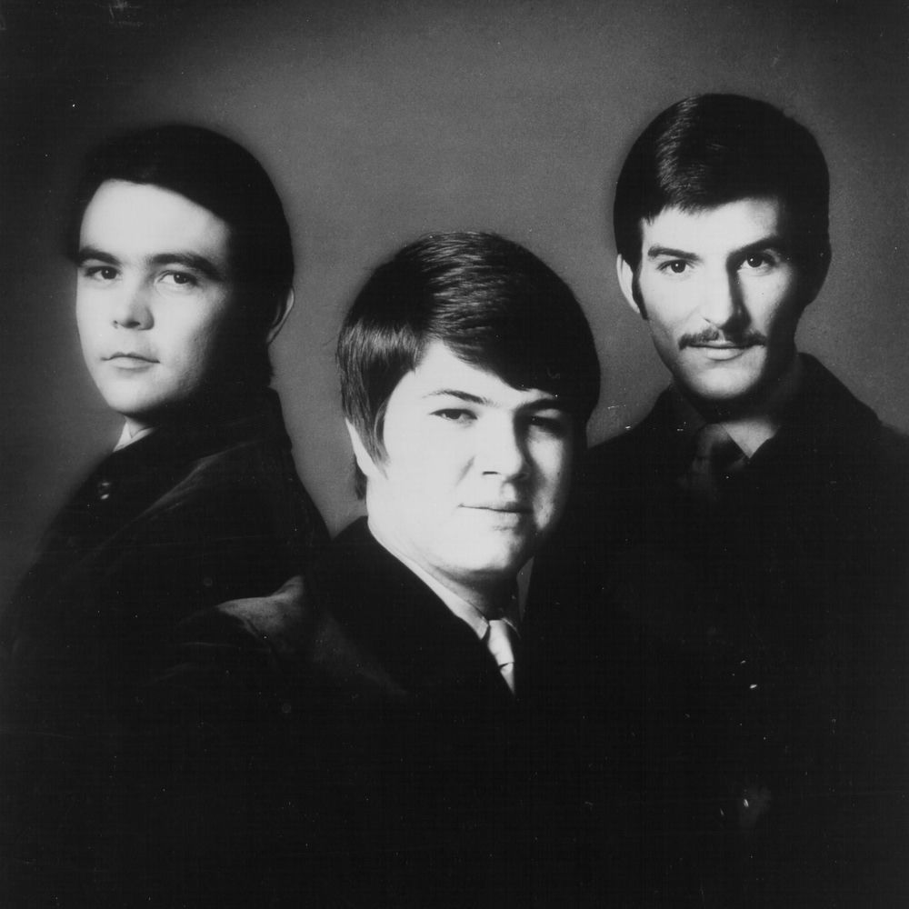 Photo de l'artiste The Sandpipers