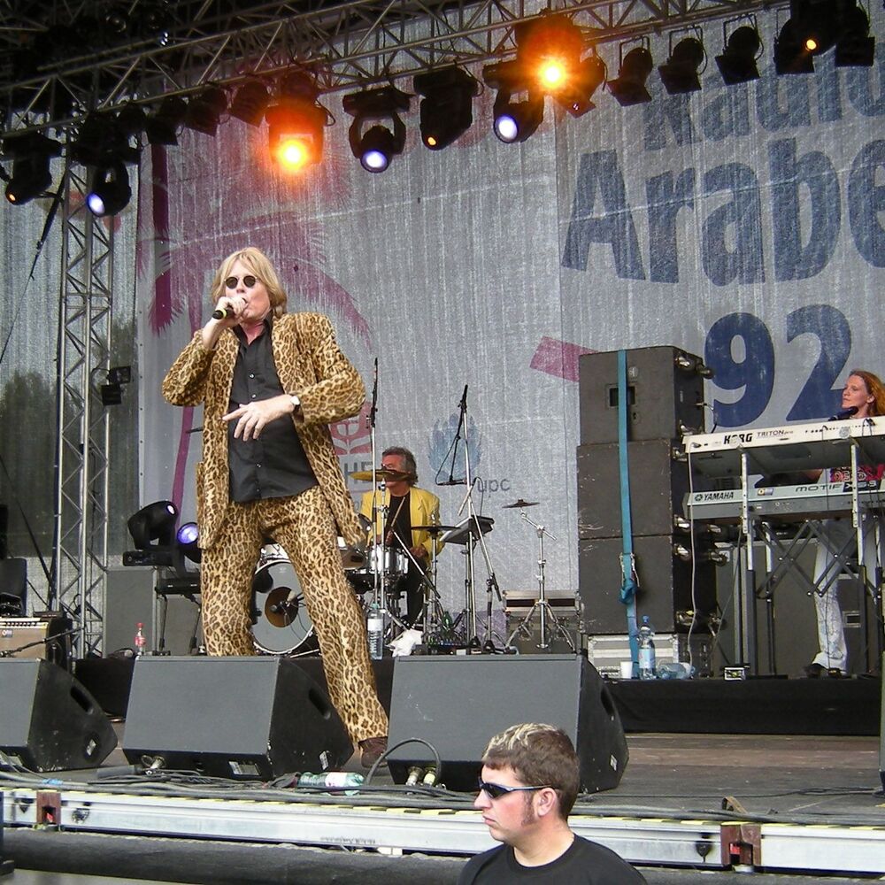 Picture of Geier Sturzflug