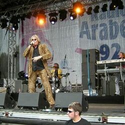 Picture of Geier Sturzflug