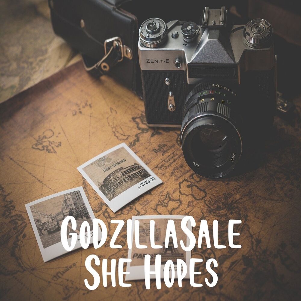Picture of Godzillasale