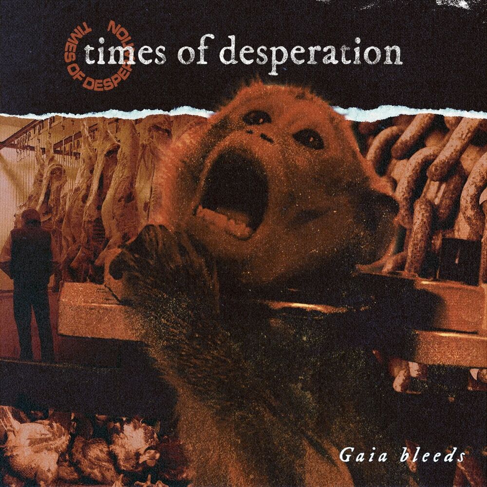 Picture of Times of Desperation