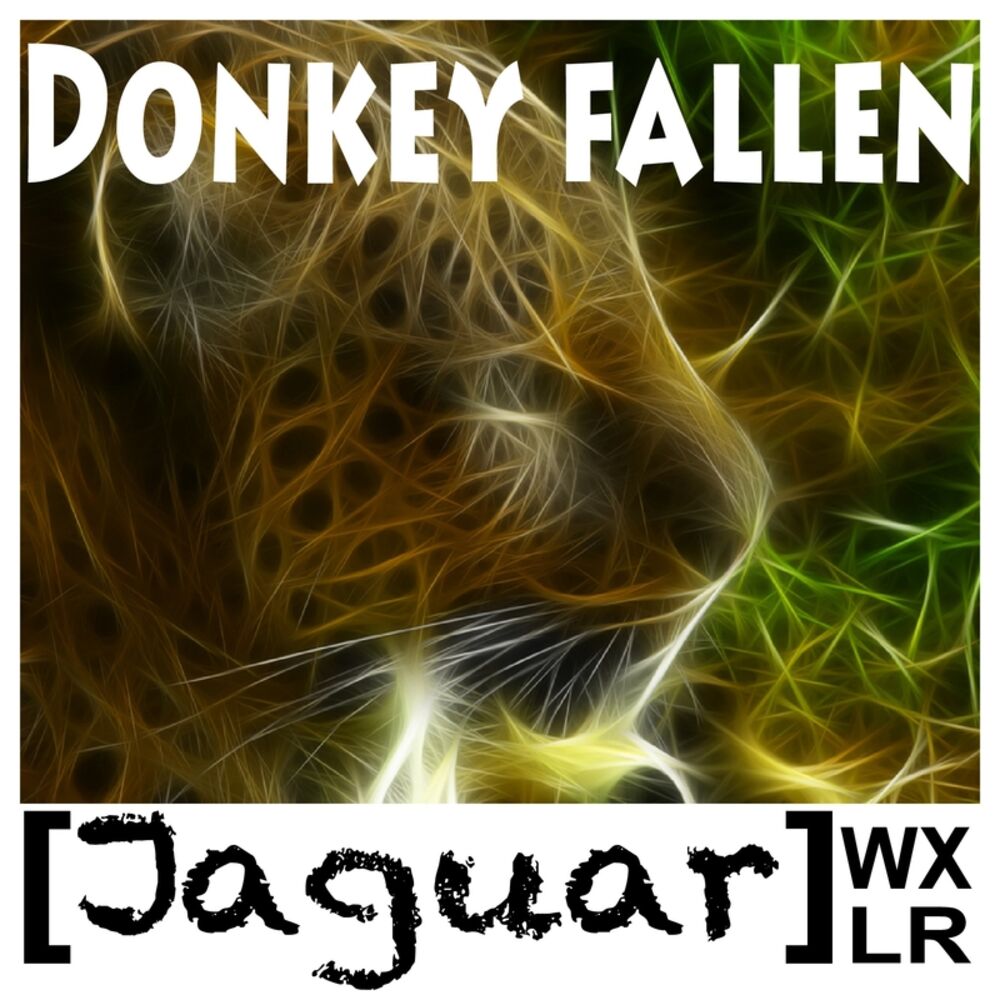 Picture of Donkey Fallen