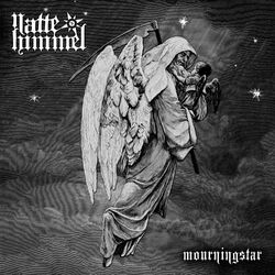 Picture of Nattehimmel