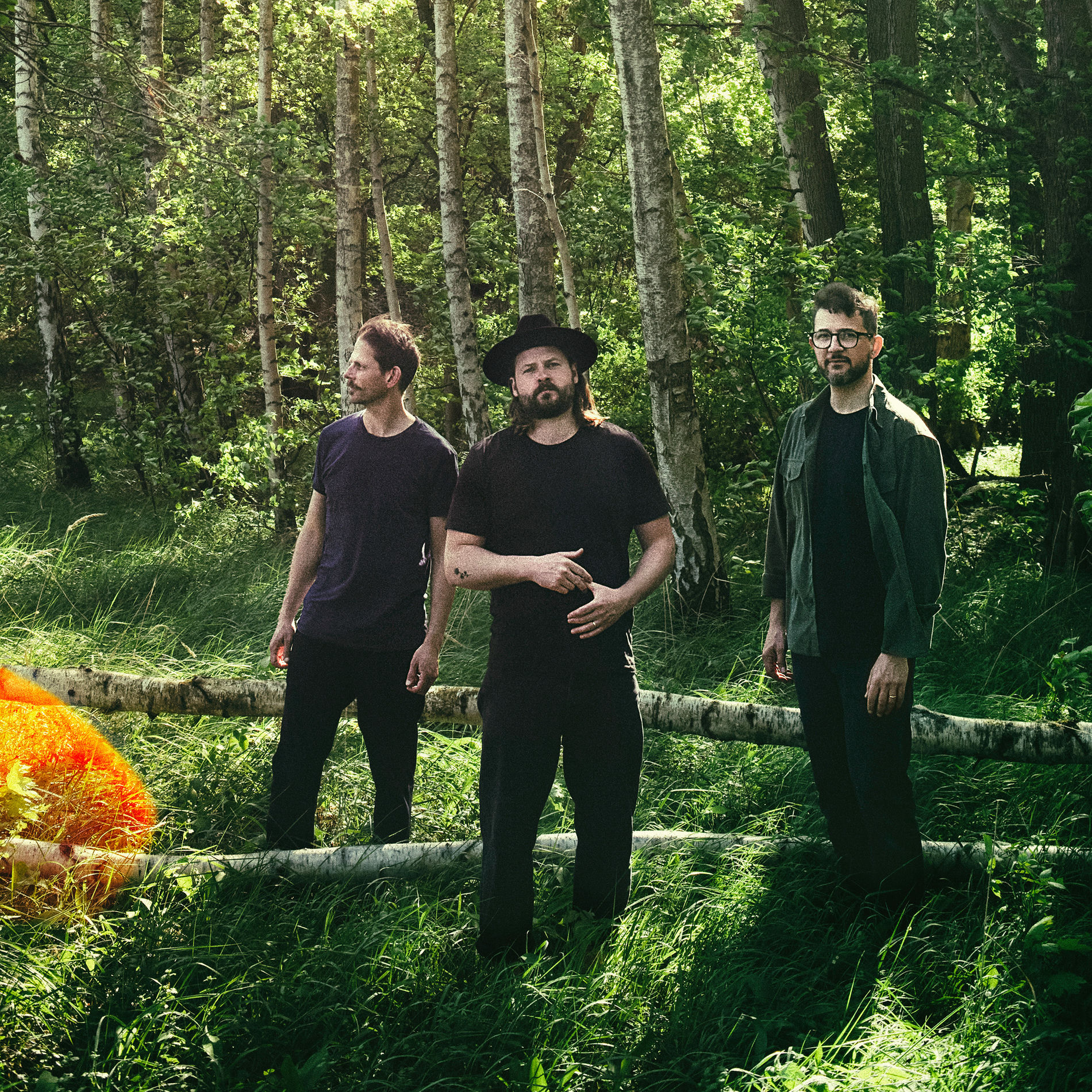 Artist picture of Mighty Oaks