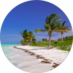 Picture of X-Coast