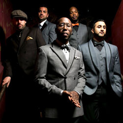 Picture of Bad Rabbits