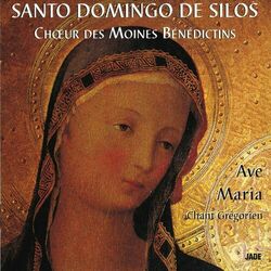 Picture of Chœur de Moines Bénedictins de l'Abbaye Santo Domingo de Silos