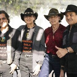 Picture of Los Felinos