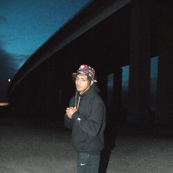 Picture of Shango SK