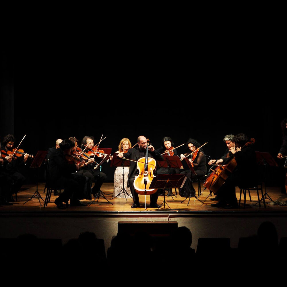 Picture of I Solisti di Pavia