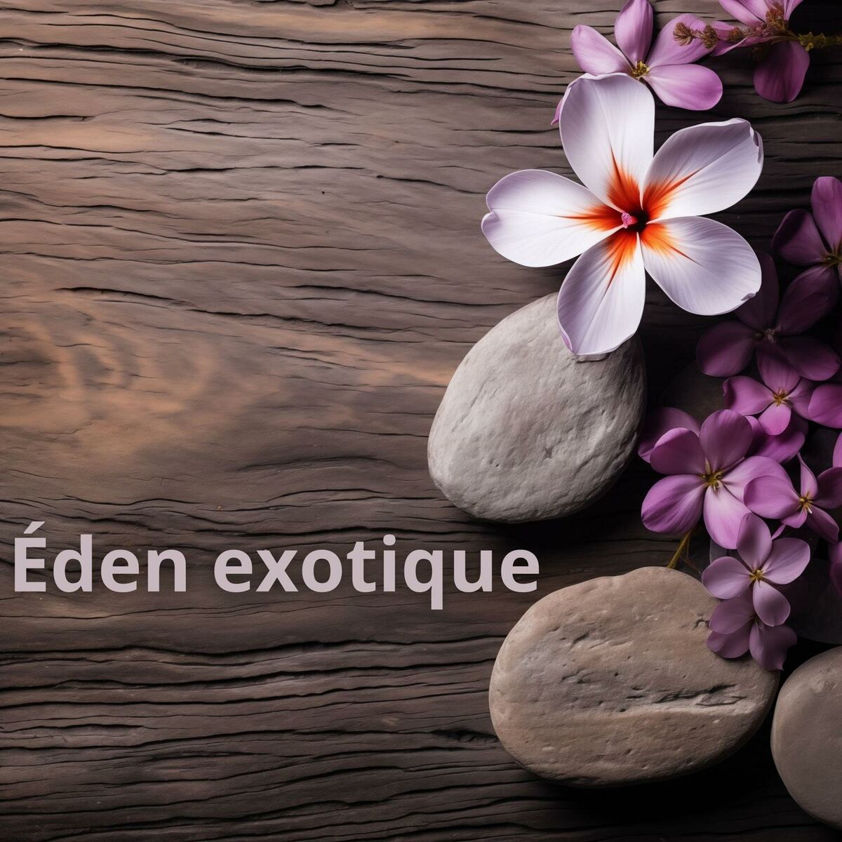 Bien-être Spa Musique Collection