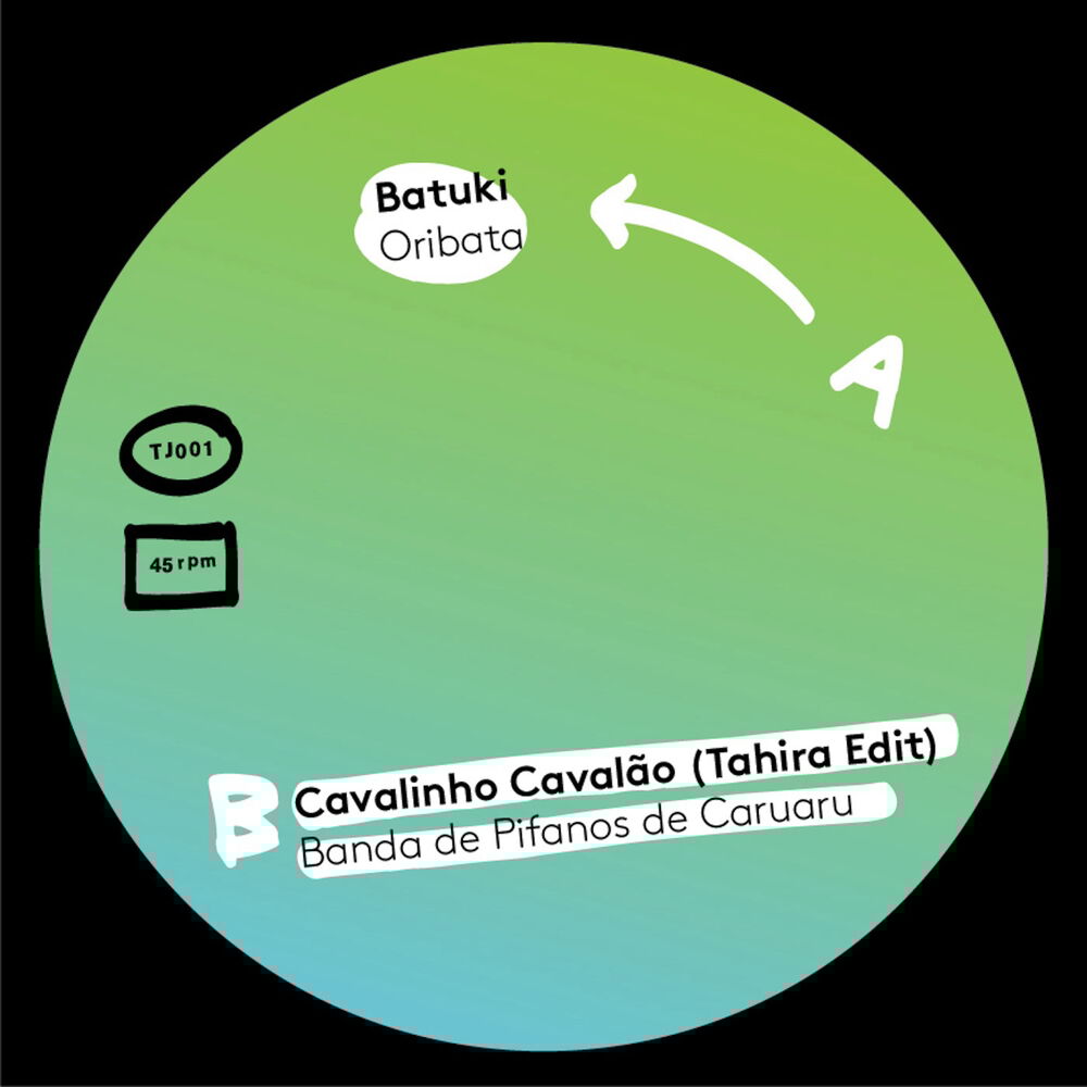 Picture of Oribata