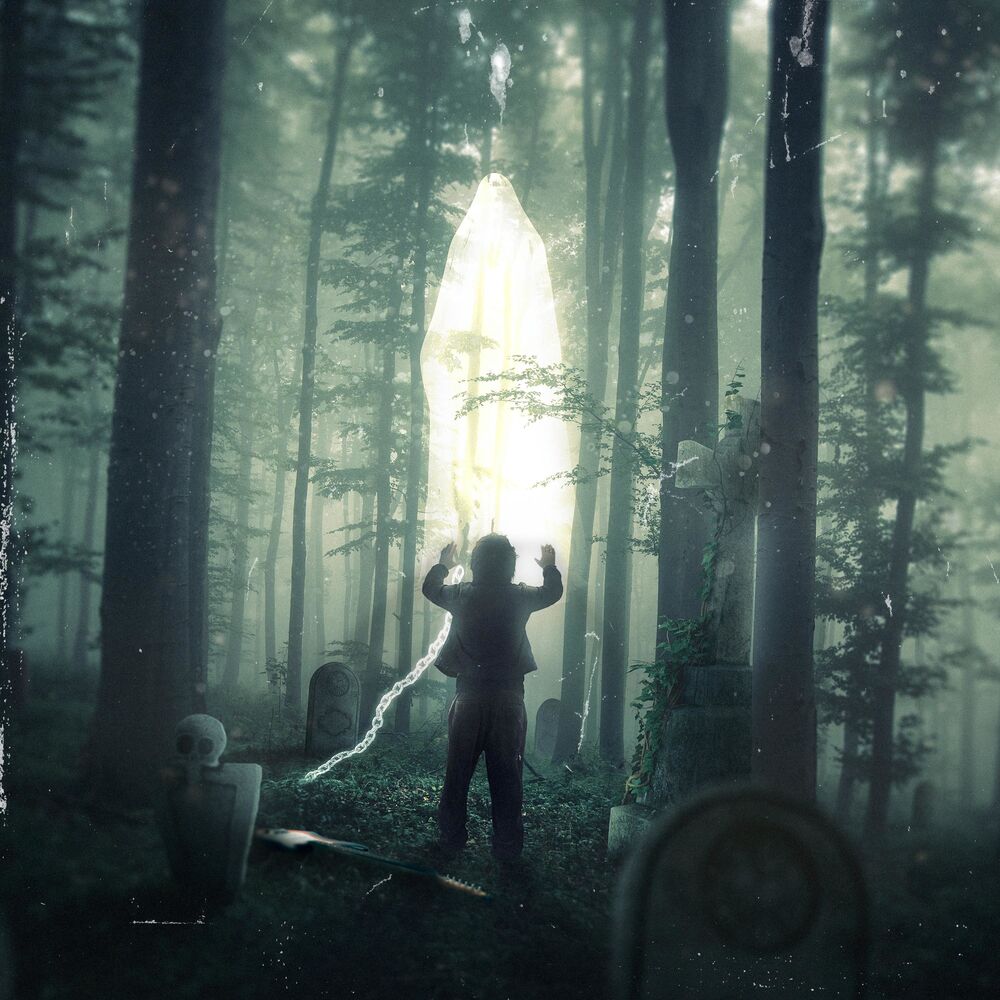 Picture of stanlefantome