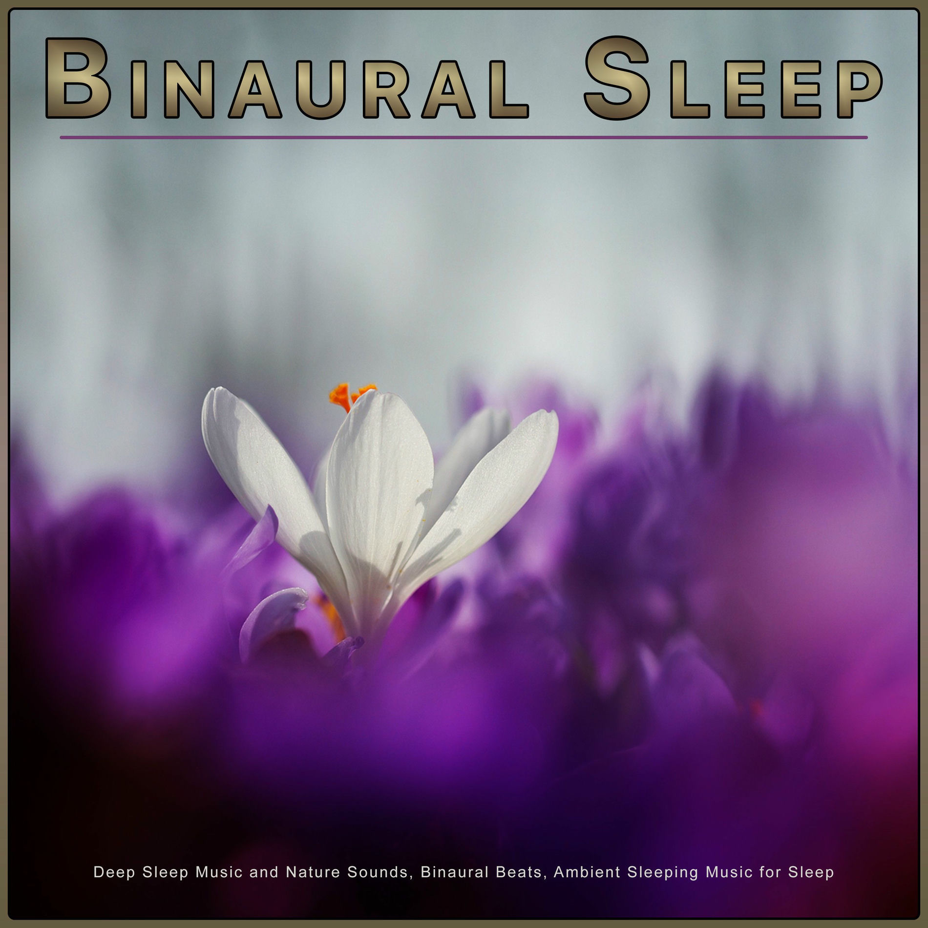 Binaural Beats Sleep